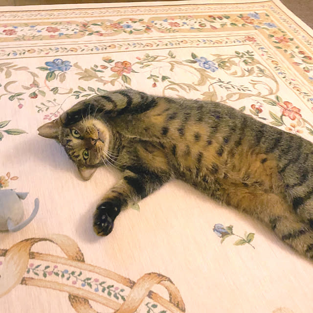 yumicyanさんの実例写真