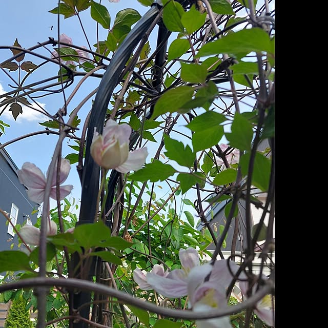 heyasukiさんの実例写真
