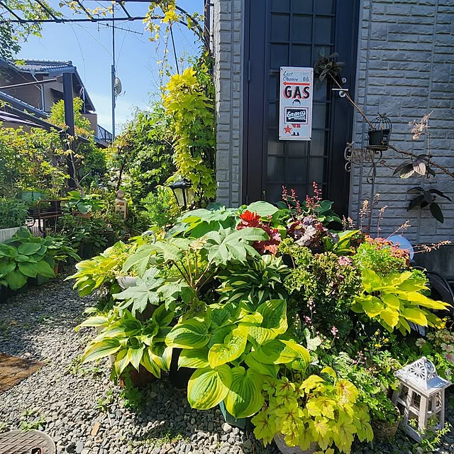 GreenHomeさんの部屋