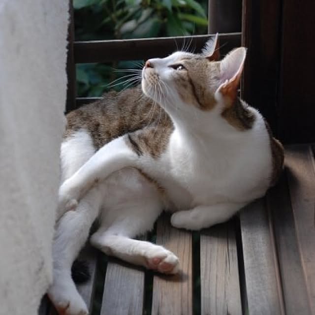 michiyoshikoさんの実例写真