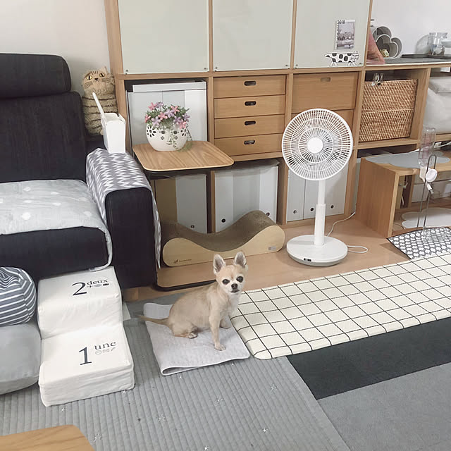 Emiさんの実例写真