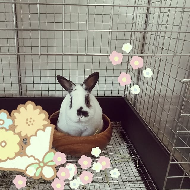 momoさんの実例写真
