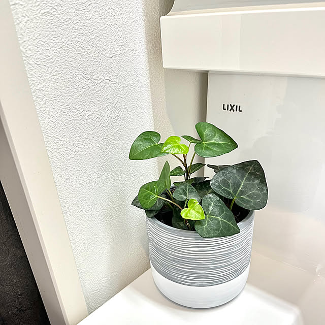 qooさんの部屋