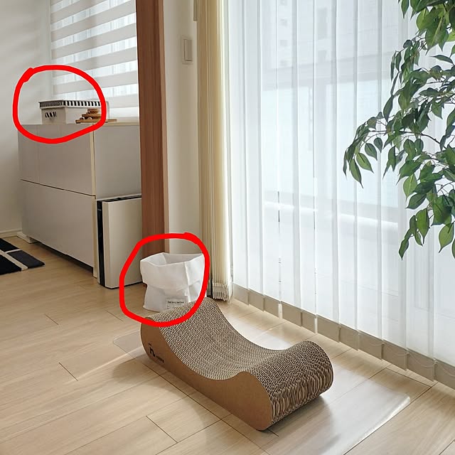 sakuraさんの部屋