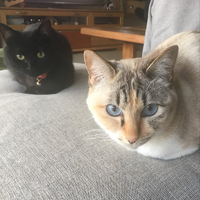 nanaさんの実例写真
