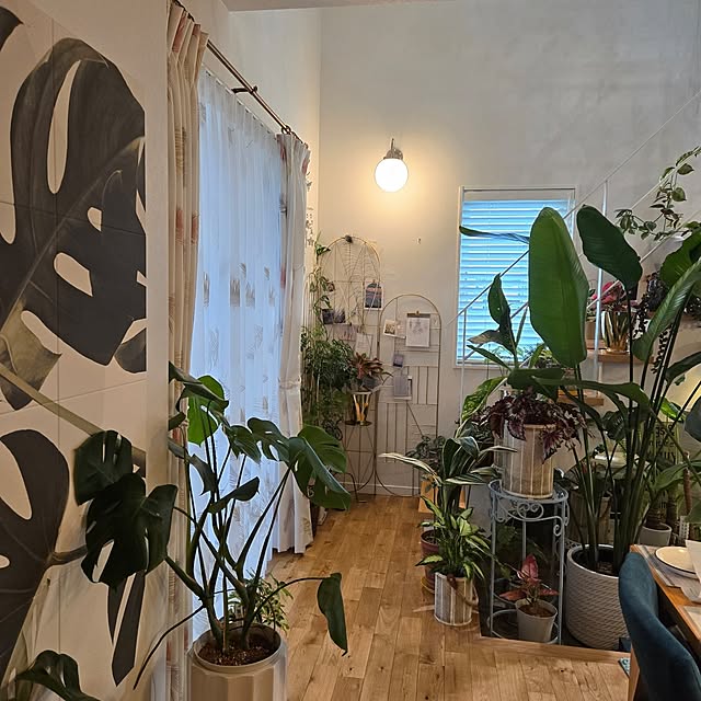 nonbiri_house_さんの部屋
