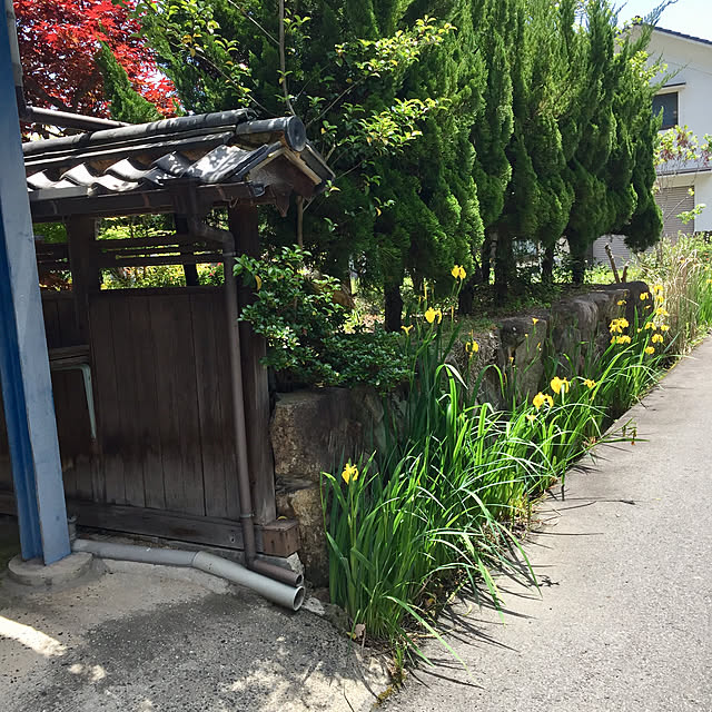 tanutanさんの実例写真