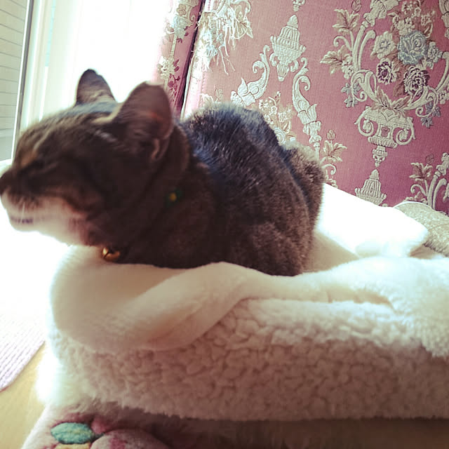 lilyさんの実例写真