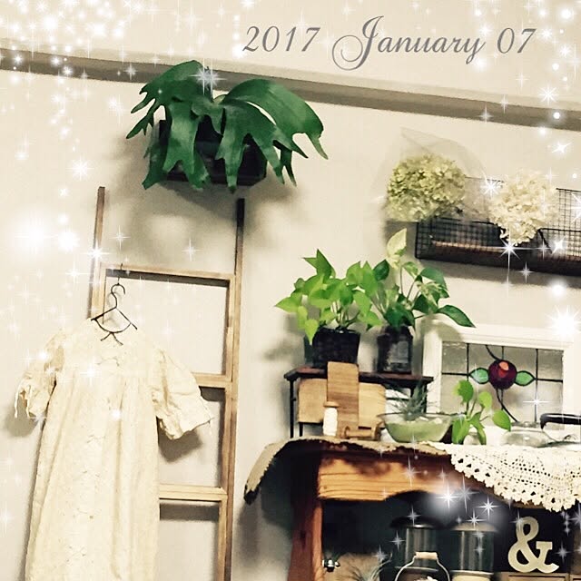 mockさんの実例写真