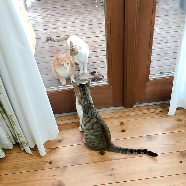 yurari.bonnさんの実例写真