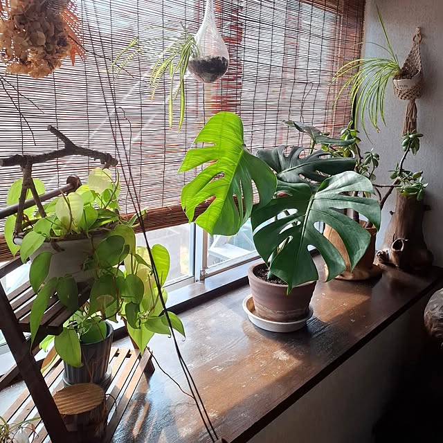midoriさんの部屋