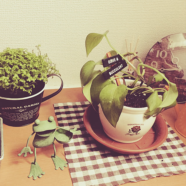 tokuhomeさんの実例写真