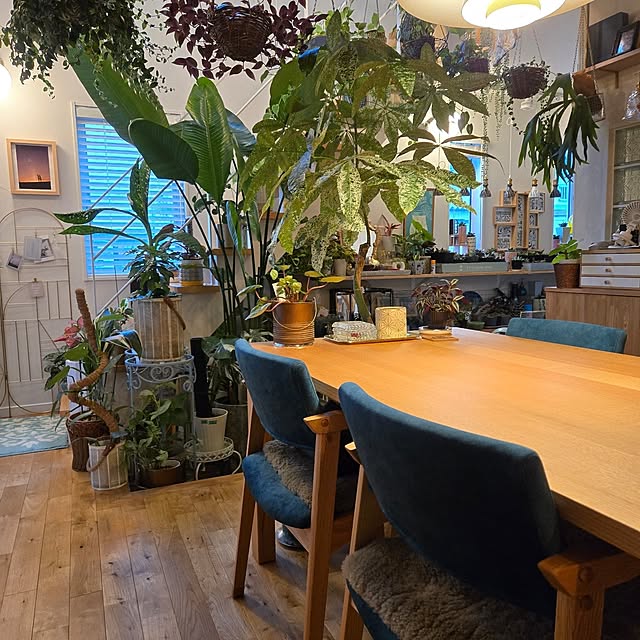 nonbiri_house_さんの部屋