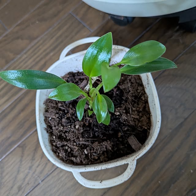 asaさんの部屋