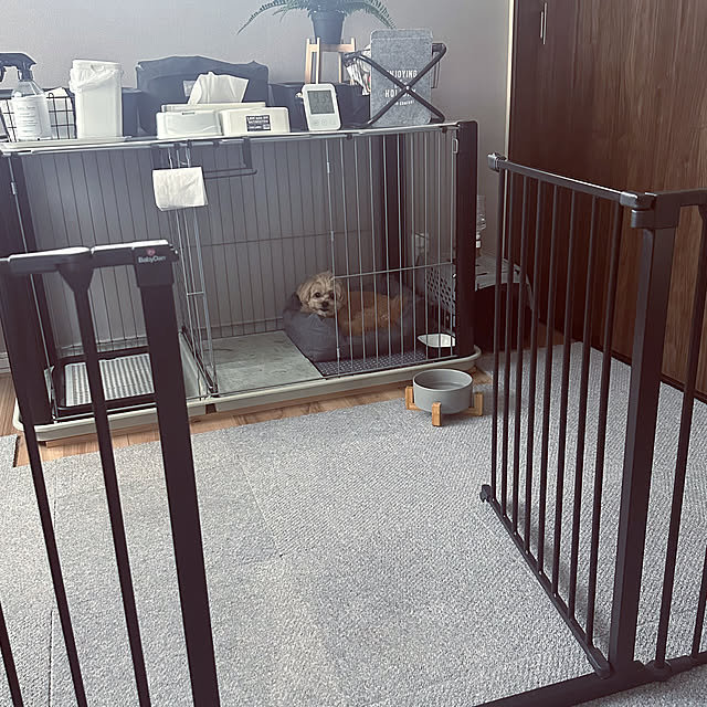 ikt.tamaさんの部屋