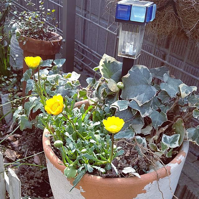 Ri-さんの実例写真
