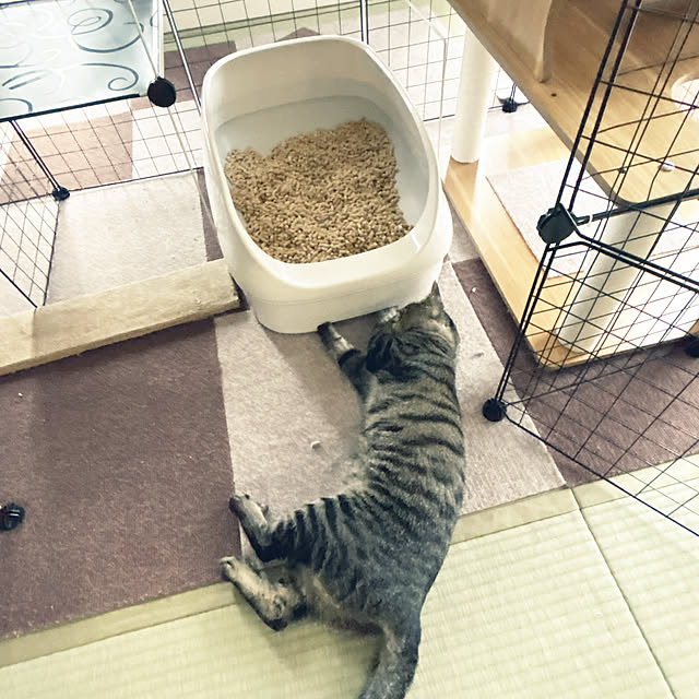 yunyumさんの部屋