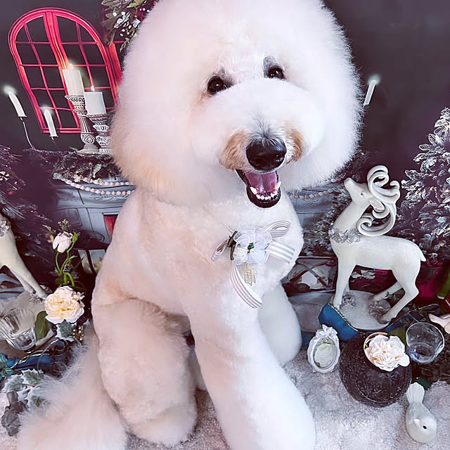 nackeyさんの実例写真