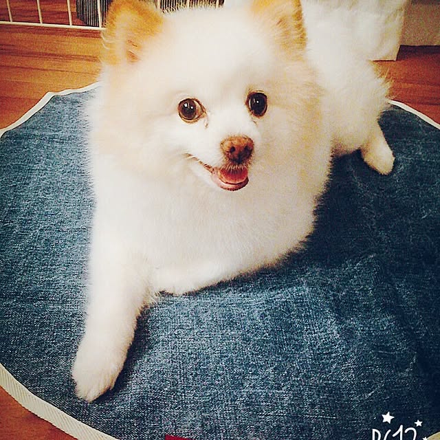 kt85さんの実例写真