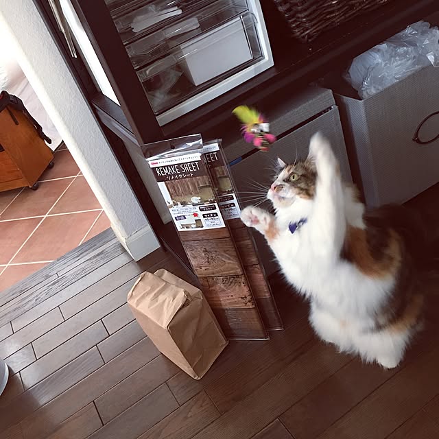 rukaさんの実例写真