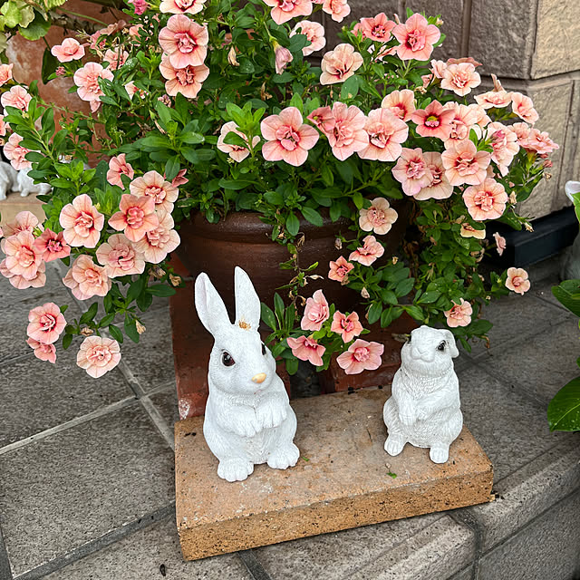 ritsukoさんの実例写真