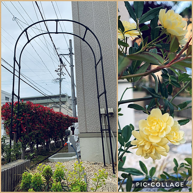 yukarin-gardenさんの実例写真