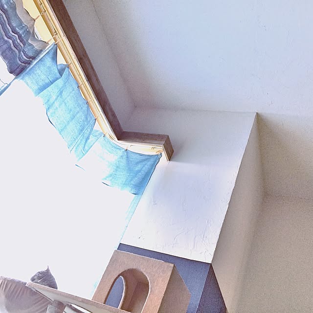 eikinukoさんの実例写真