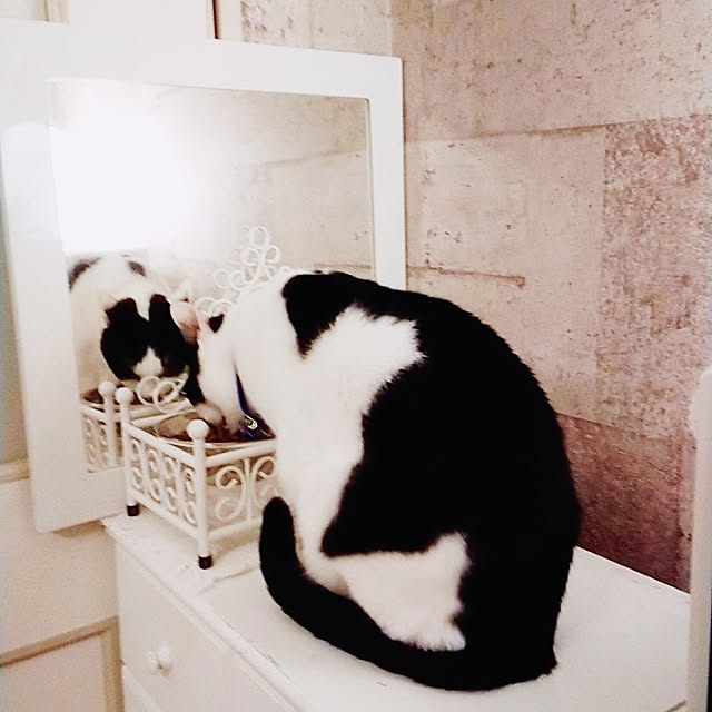 asuminさんの実例写真