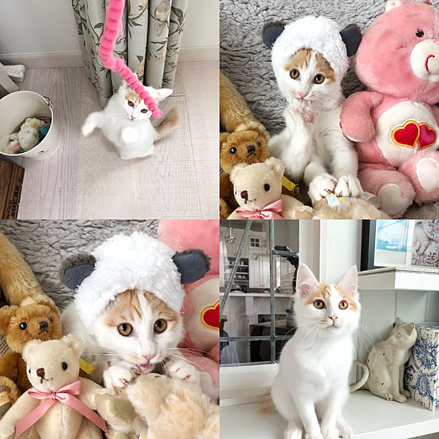 yuchiさんの実例写真