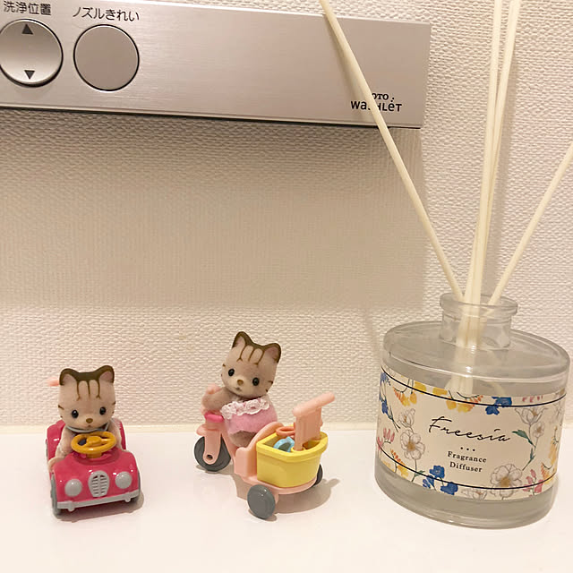 HAMPEMさんの実例写真