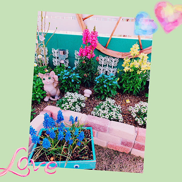 Miyumamaさんの実例写真