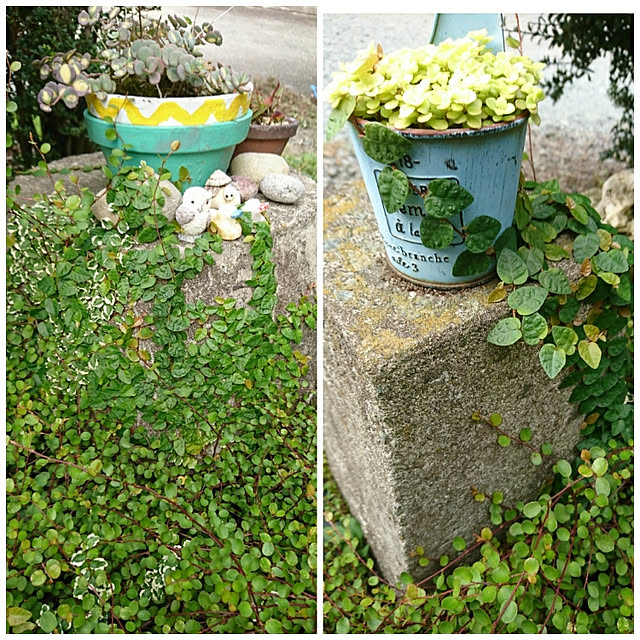 koppeさんの実例写真