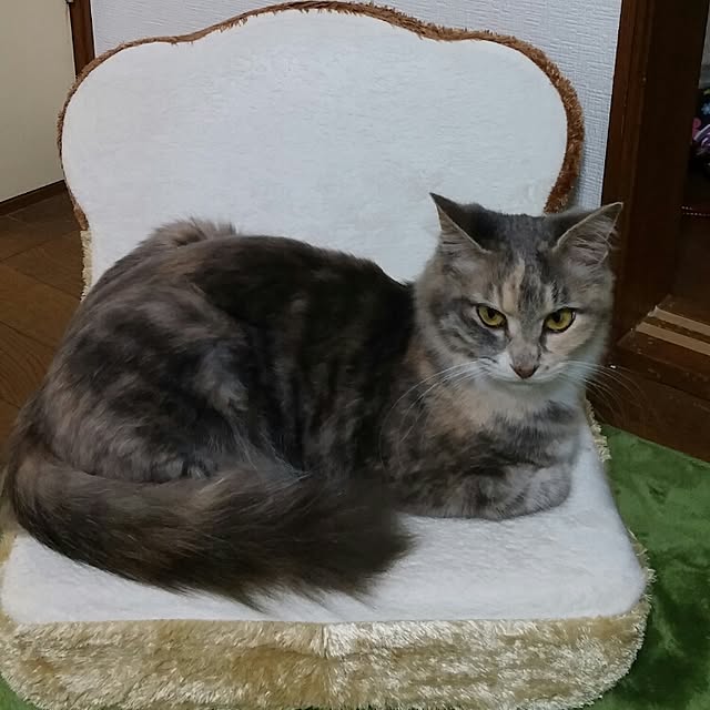 Cocoさんの実例写真