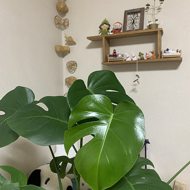 JUNさんの実例写真