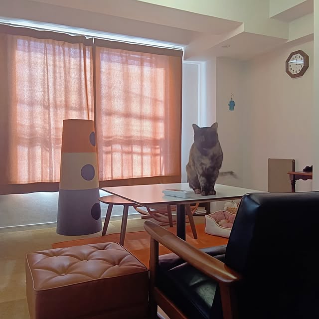 hirukumaさんの実例写真