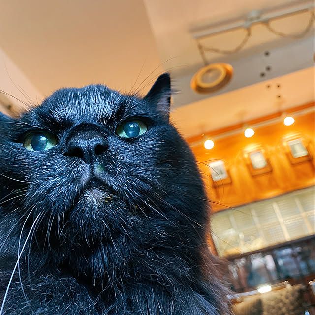puffloveさんの実例写真