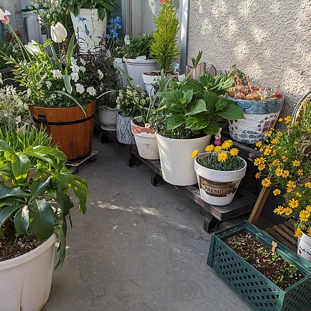toramamaさんの部屋