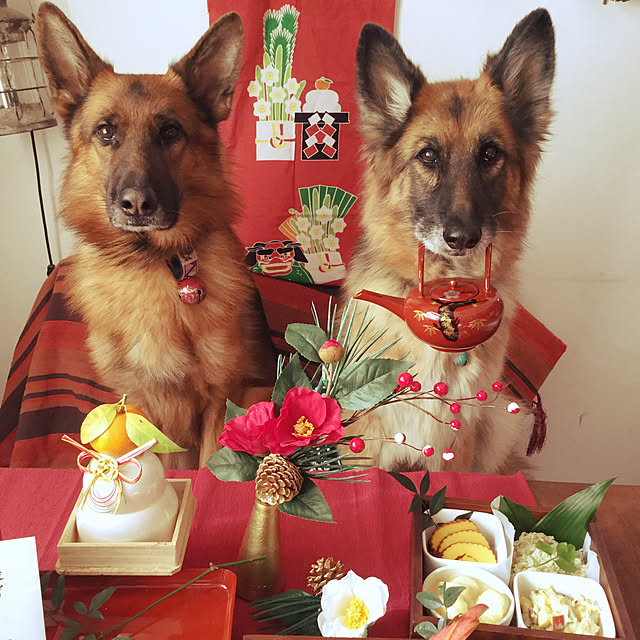 uooさんの実例写真