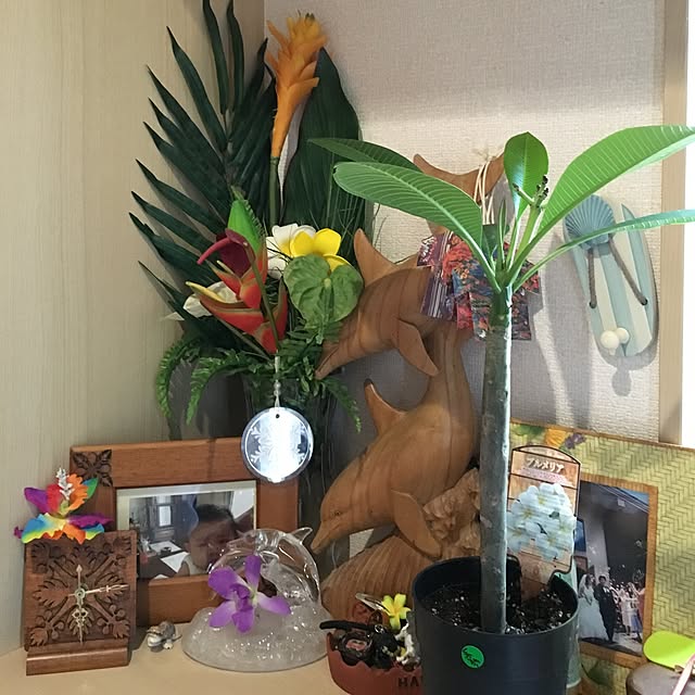 alohamamaさんの実例写真