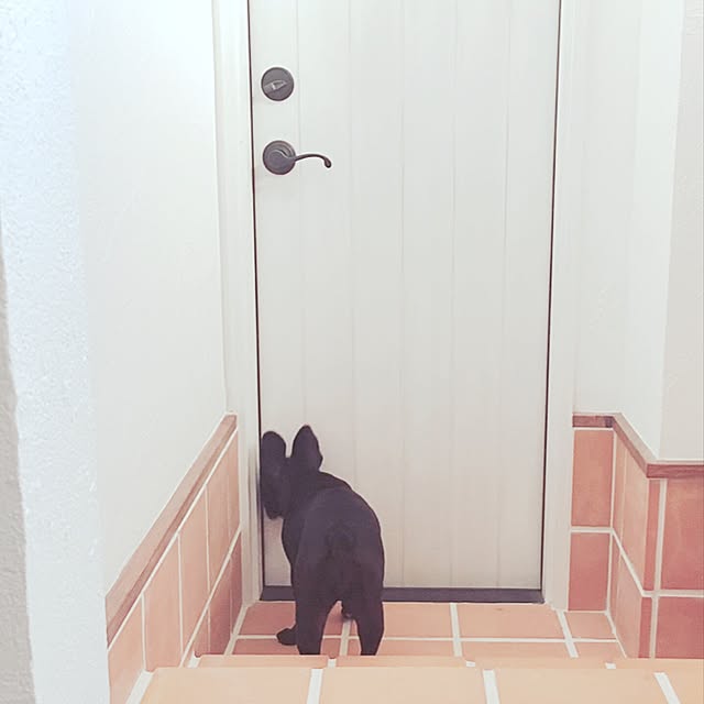 hitomiさんの実例写真