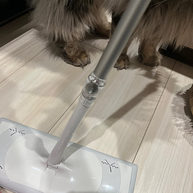 mayumiさんの部屋