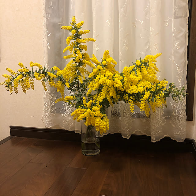 sakuraさんの実例写真