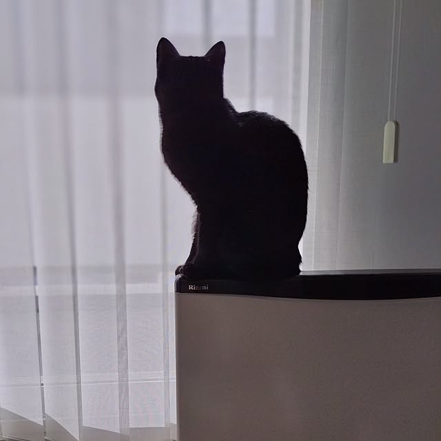 sakuraさんの部屋