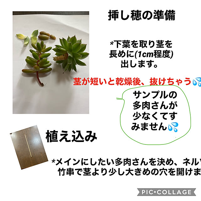 mimoza.さんの実例写真