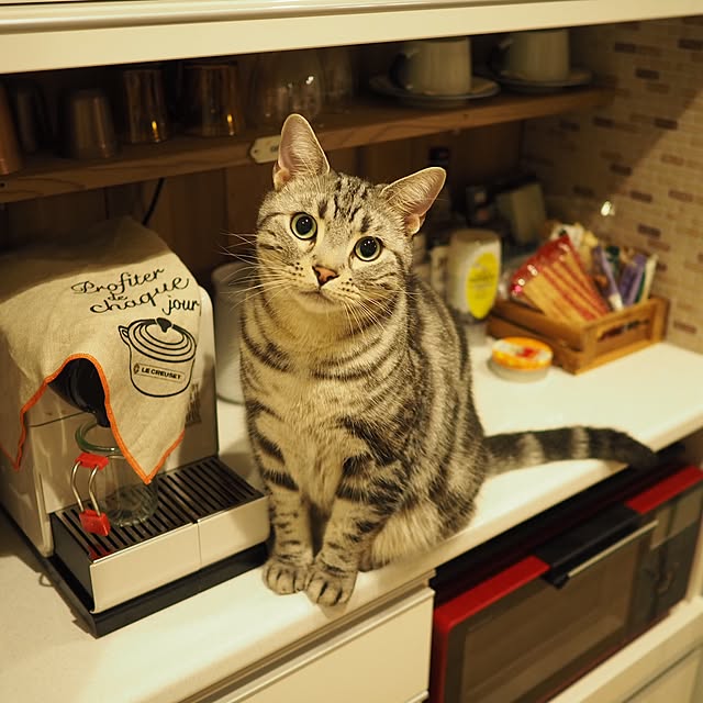 y.k.0123さんの実例写真