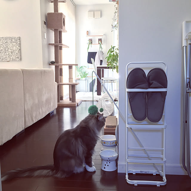 emさんの実例写真