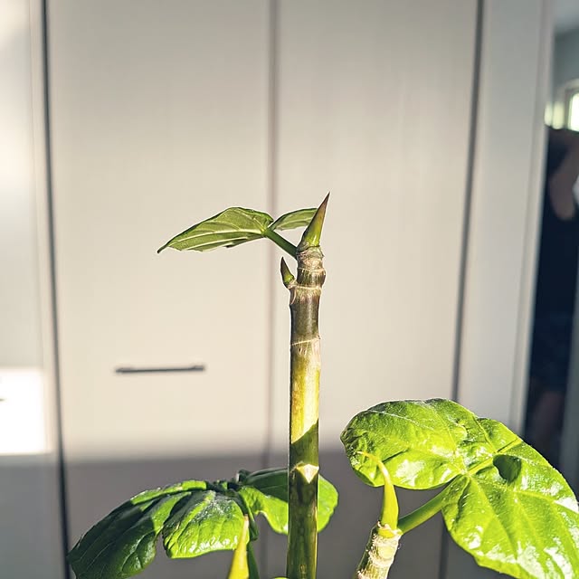 tan5さんの部屋