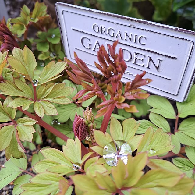 valleさんの部屋