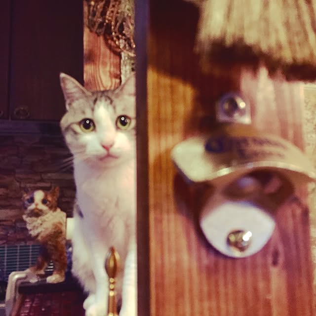 emmyyさんの実例写真