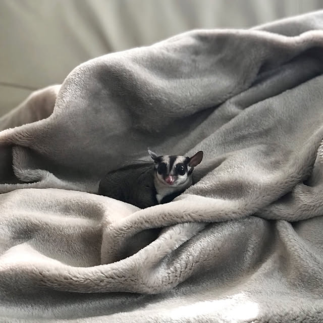 Milyさんの実例写真